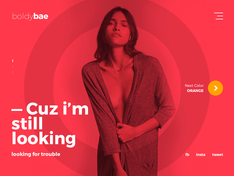 Website design for lead developer at google. 3 work-img-2